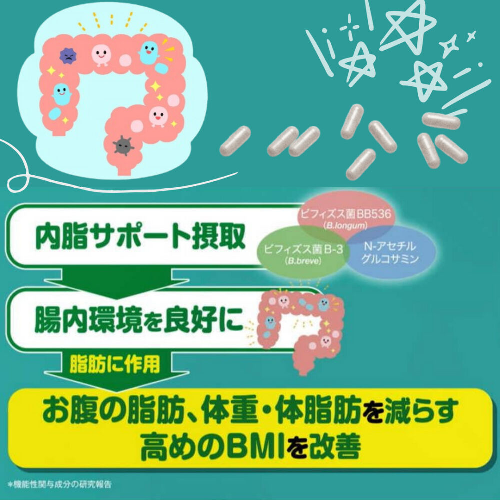FANCL 內脂丸 消解內脂營養素90粒 30日份